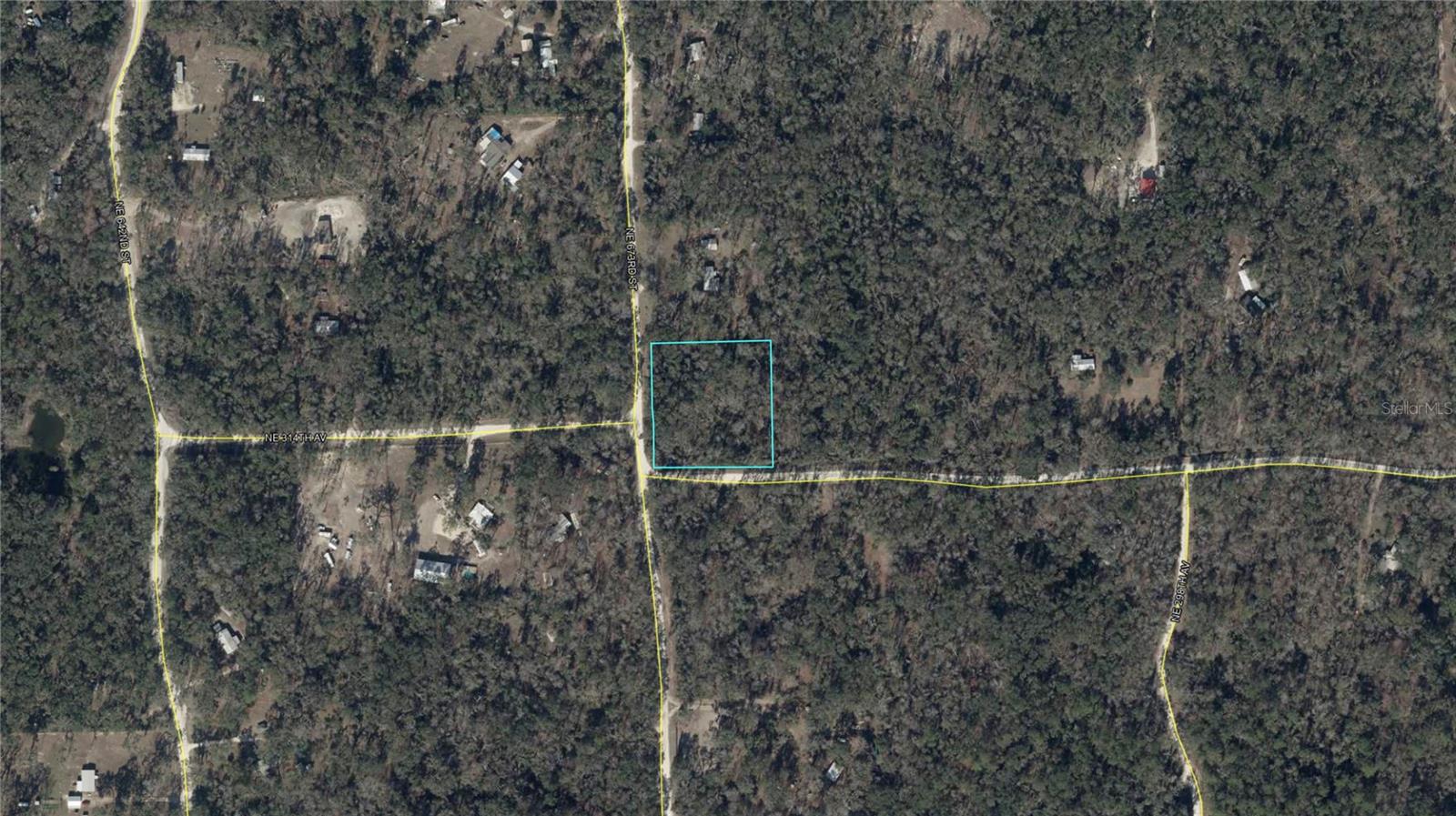 SUWANNEE OAK FOREST - Land