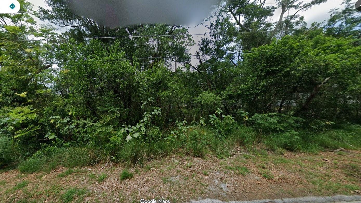 Build your dream home on this almost half-acre lot with NO HOA in the highly sought-after Plantation Estates community. This neighborhood offers those seeking a quieter, suburban feel with a strong connection to nature and easy access to both Orlando's attractions and Florida's beaches, offering a blend of outdoor recreation, a strong sense of community, and a lower cost of living than many Florida areas. It's noted for its parks, the St. Johns River, friendly atmosphere, above-average public schools, and a good mix of home types.