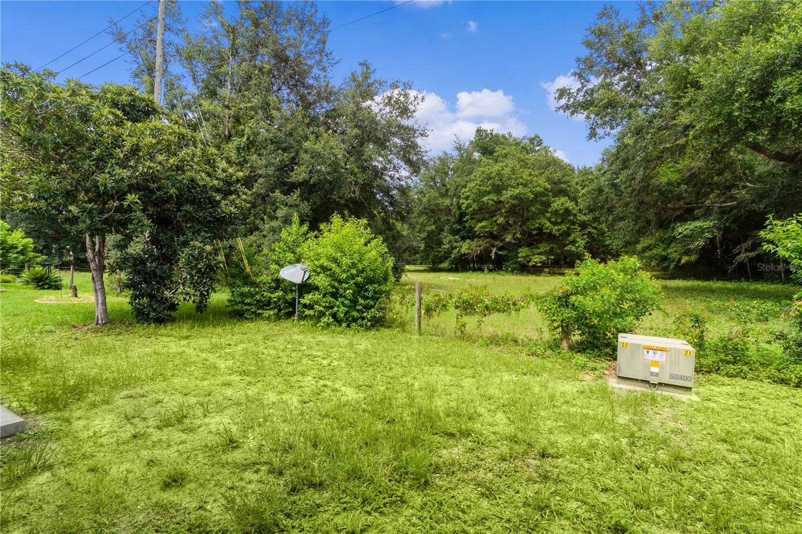 LADY LAKE ORANGE BLOSSOM GARDENS UNIT 10 - Residential