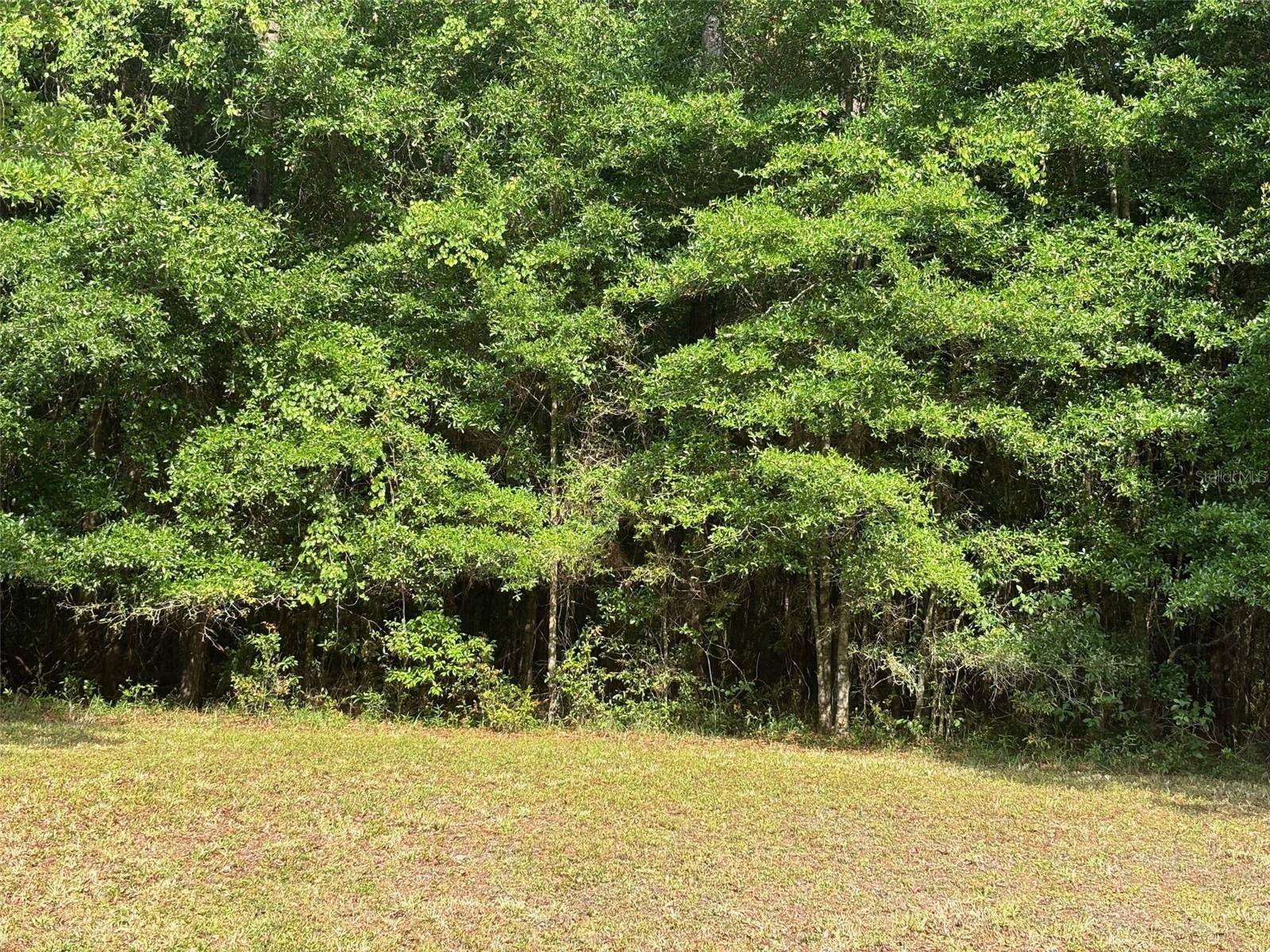 Great new gated community in Northwest Gainesville.  There are a total of 13 private and heavily wooded 1+ acre lots.  The neighborhood has a pickleball court, outdoor pavilion, street lights, sidewalks and underground utilities.  Close to parks, schools, shopping and only 3 miles from the closest Publix. This is a great opportunity to build a new custom built home with Jeffrey M Wilde Builder Inc.