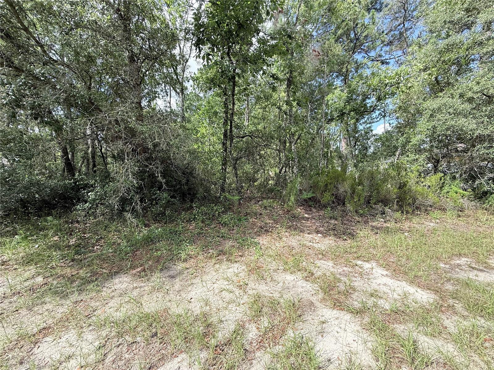 Build your dream home on this .23-acre residential lot located in the growing community of Marion Oaks. Situated in a non-flood zone and zoned for site-built homes only, this buildable parcel offers an excellent opportunity for homeowners and investors alike.
The property is a benefiting parcel to the water main connection and will require a septic system. With power nearby and newer homes already constructed in the area, much of the groundwork for future development is already in place.
Conveniently located near shopping, dining, schools, medical facilities, and major roadways, Marion Oaks continues to be one of Marion County's most desirable areas for new construction.
Don't miss your chance to secure a homesite in this rapidly growing community.