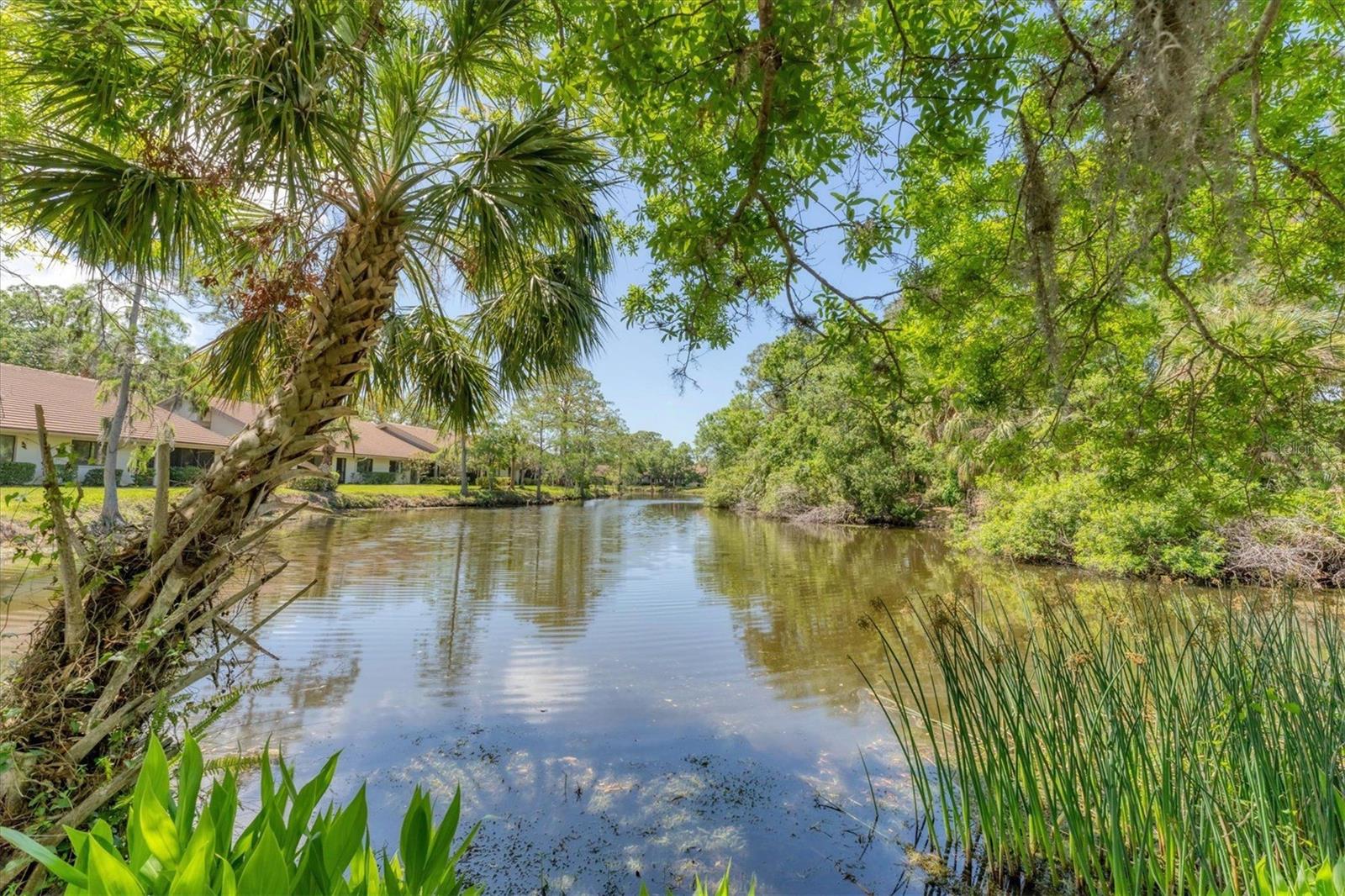 VILLAGE LAKE / THE MEADOWS - Residential