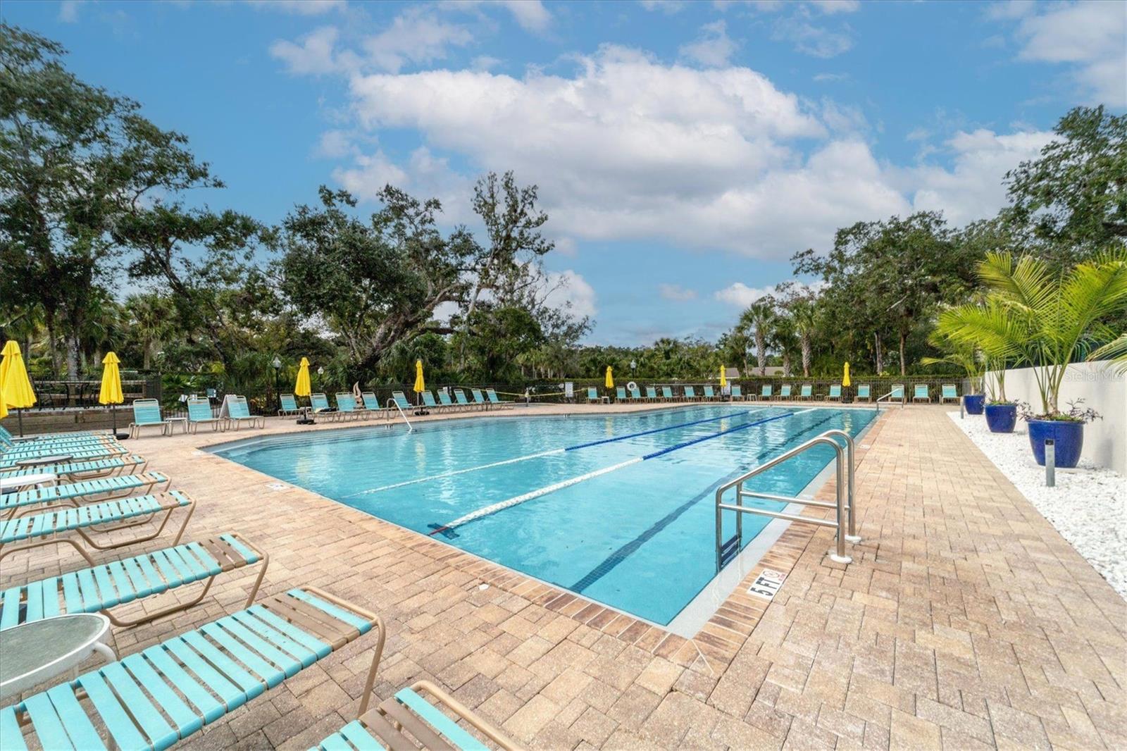 VILLAGE LAKE / THE MEADOWS - Residential
