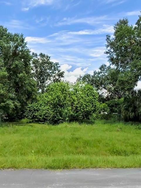 No HOA! With just over 1/3 acre this lot offers a large road frontage. Ideal to have a beautiful curb appeal. Looking to be close to it all? This lot is close to Disney, Turnpike, shopping, etc. Go Direct and imagine yourself in the heart of it all.