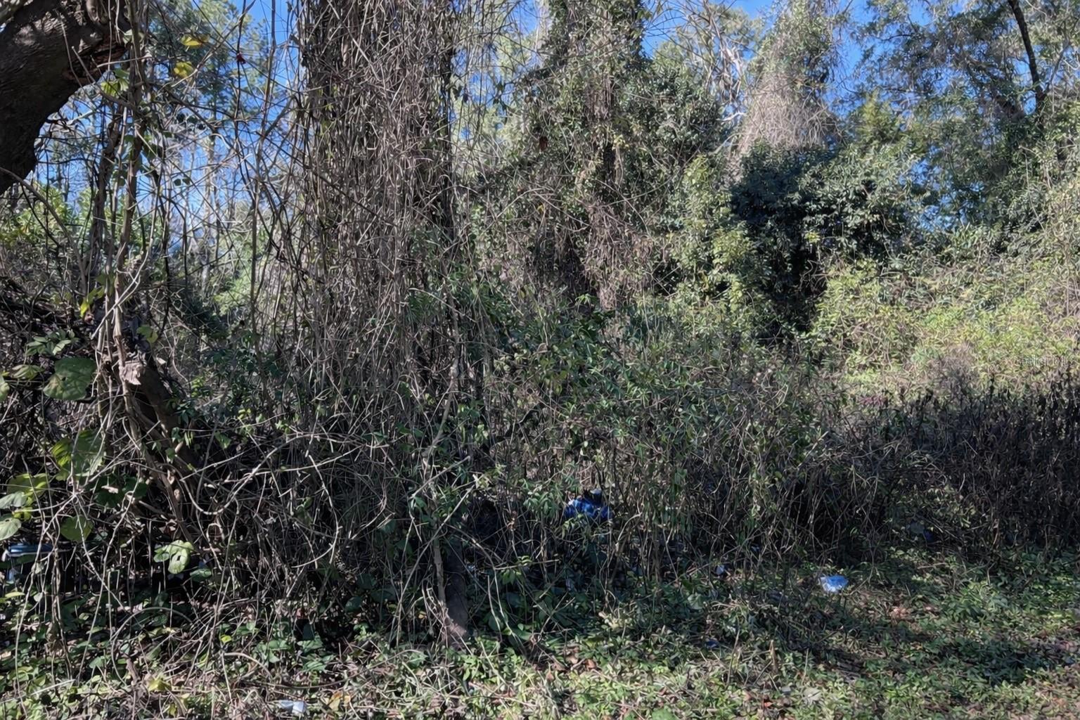 WELLS ADD TO ALACHUA - Land