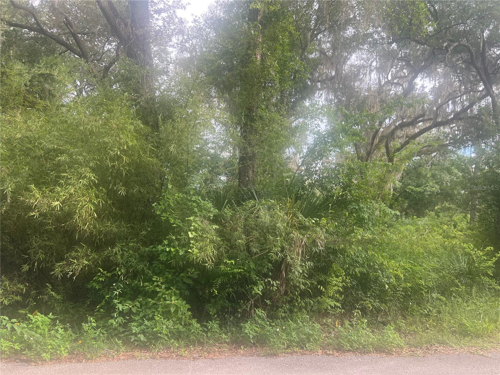 Build your dream home on this vacant residential lot located in a growing area of Marion County. Conveniently situated near NE 32nd Street, this property offers easy access to Ocala, shopping, dining, schools, and outdoor recreation while maintaining a peaceful setting. Whether you're looking to build now or invest for the future, this property presents an excellent opportunity. Bring your builder and start planning your new home today!