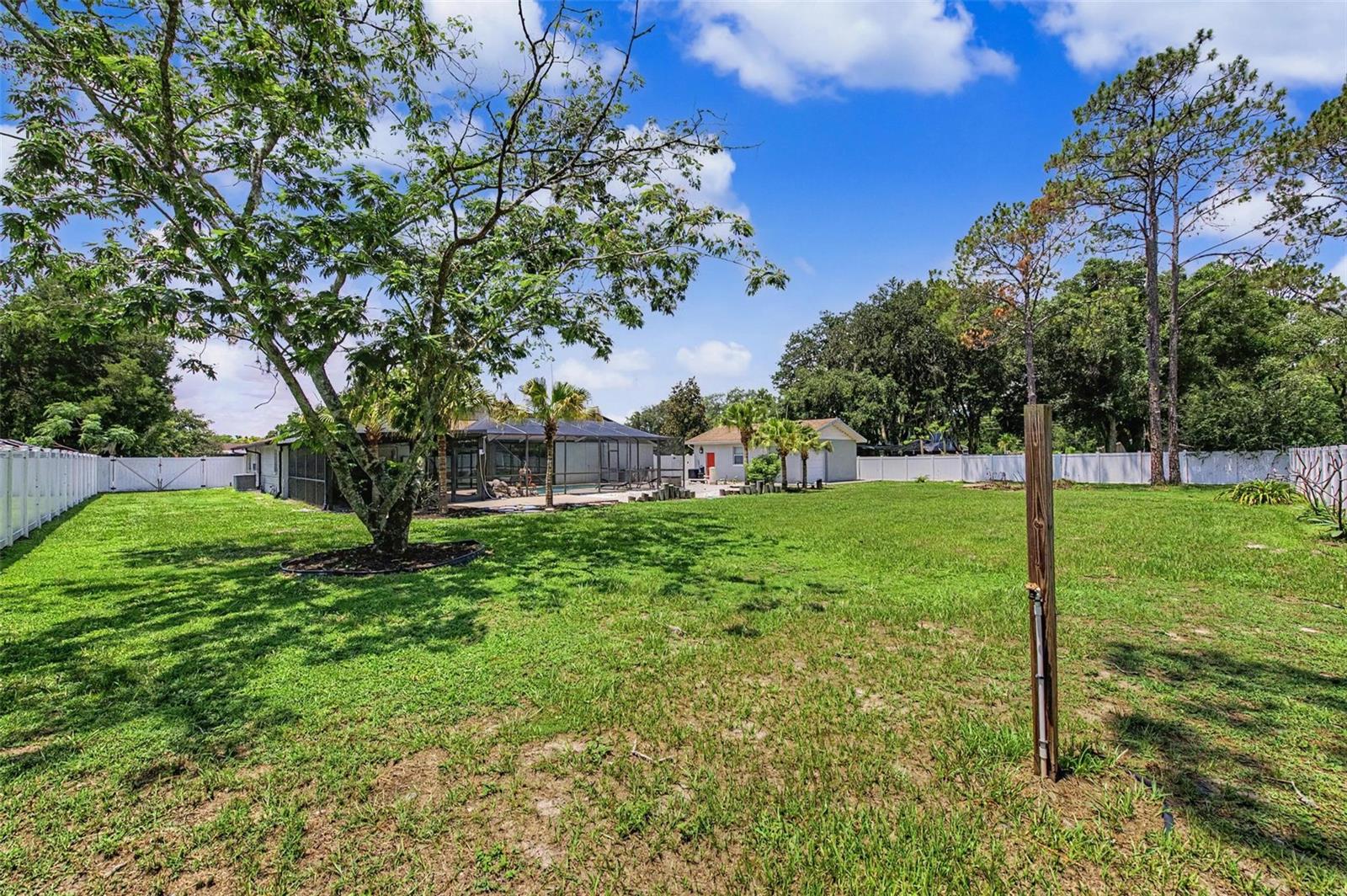 CITRUS TRACE 02 - Residential