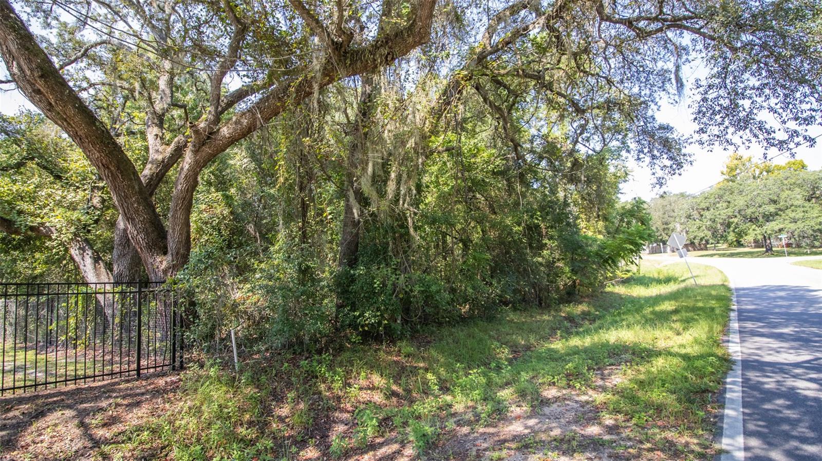 ASHLEY LAKE PLANTATION - Land