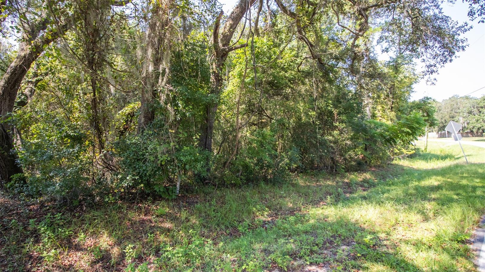 ASHLEY LAKE PLANTATION - Land