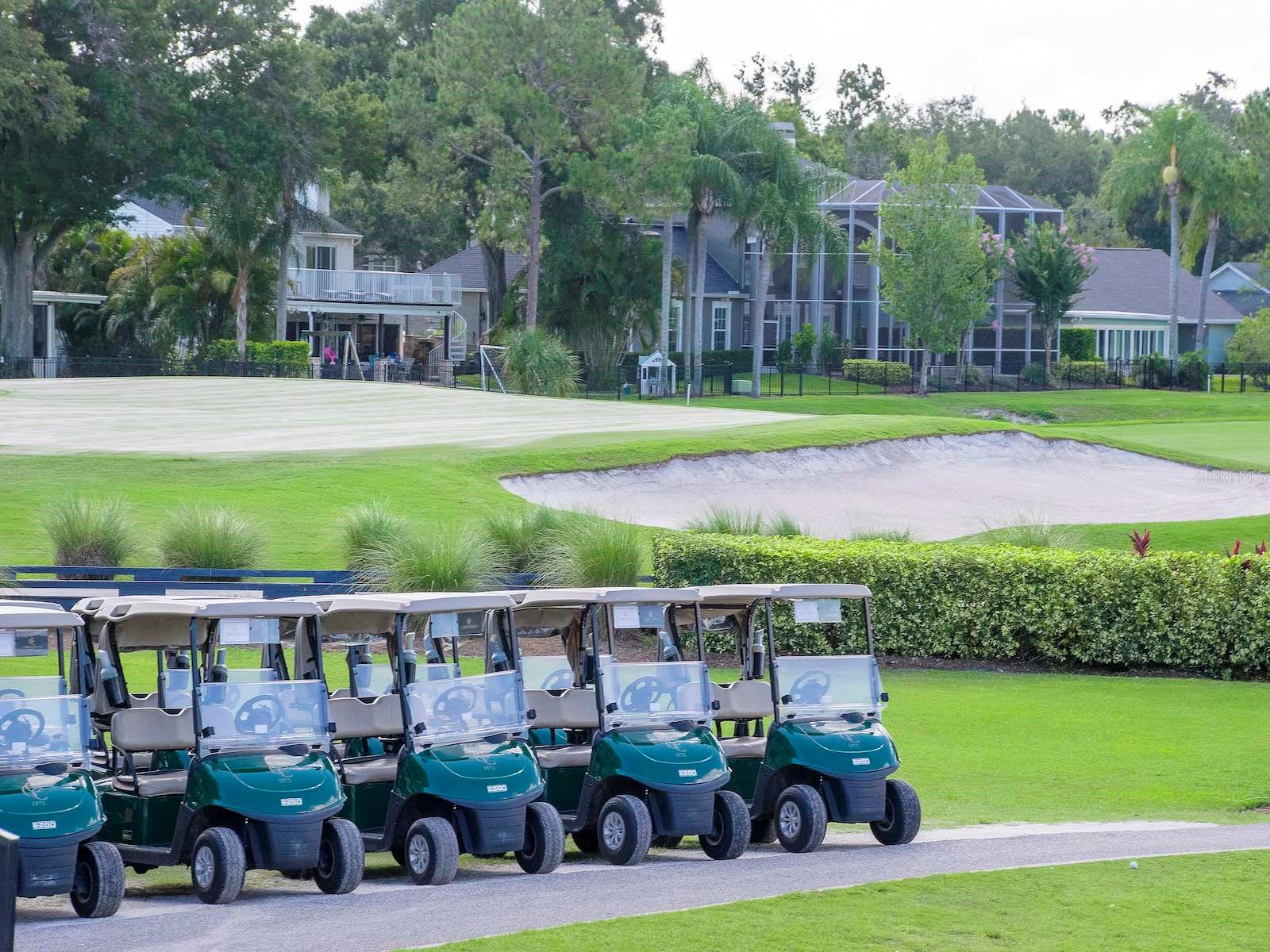 EMERALD GREEN VILLAS A CONDO - Residential
