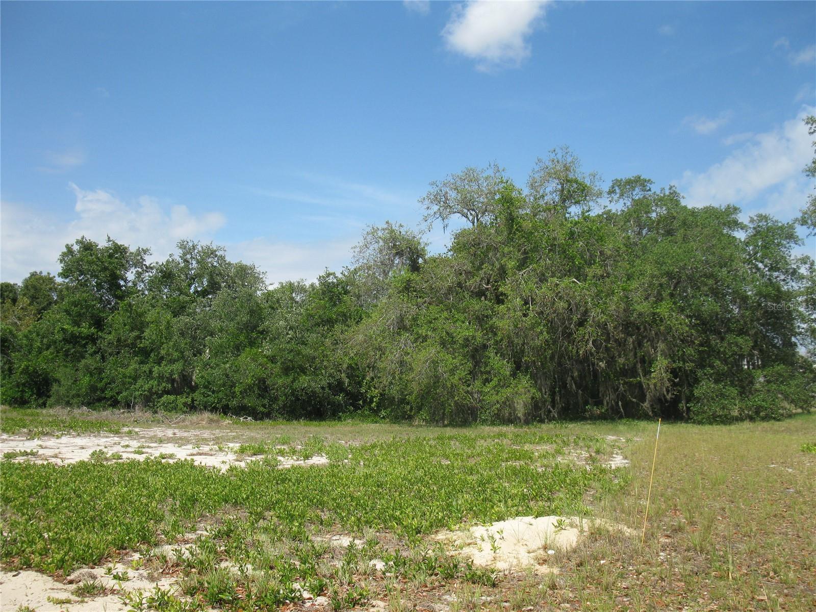 This double lot building site is the perfect site for a home that has room for a garage, a pool, plus extra parking.  This lot was 2 lots which were combined, possible to separate again to get 2 building lots.  Much of it excavated.  At the end of a cul-de-sac.  Nature's Edge in Lake Wales is a nice 55+ community with clubhouse, pool, activities and outdoor fun.  This is a great find, has not been marketed since 2008.  Grab it while it's available.