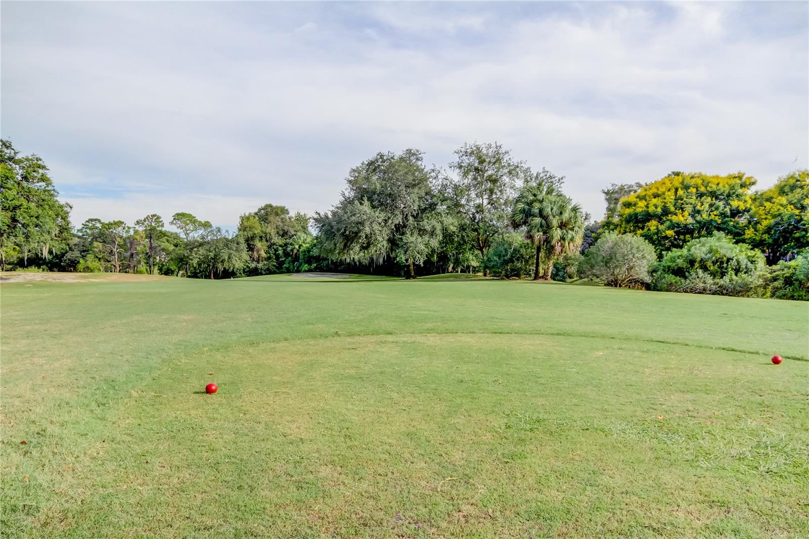 EAST LAKE WOODLANDS WOODS LANDING TWNHMS - Residential