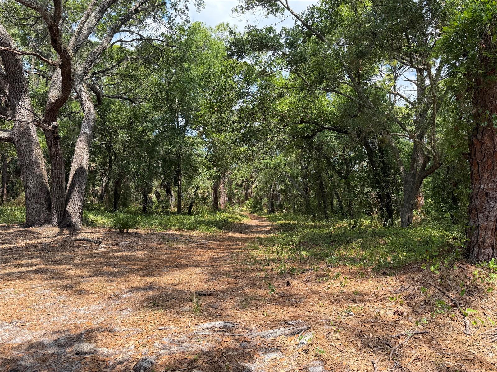 MADISON PARK - Land