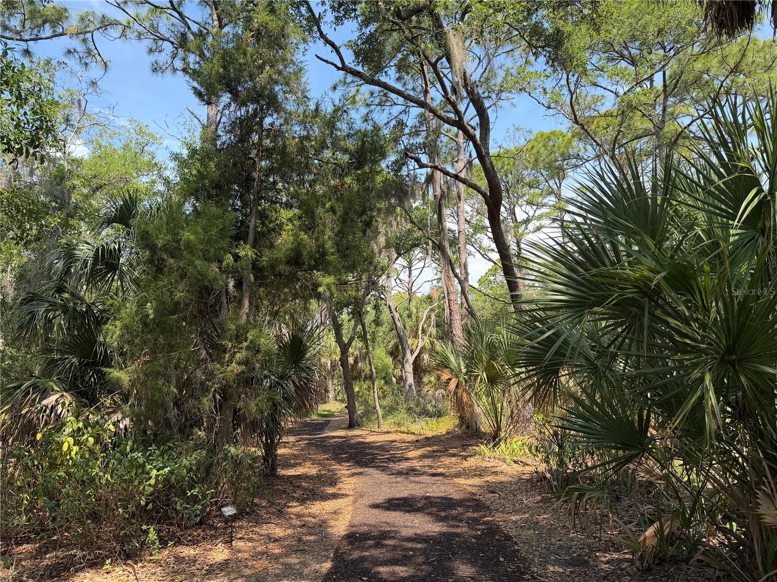 MADISON PARK - Land