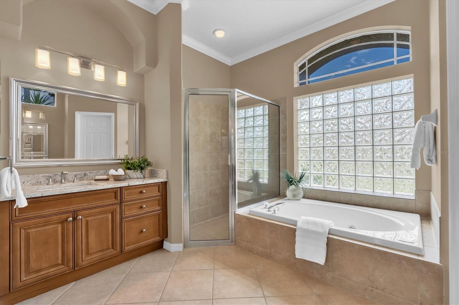 EAGLES COVE AT LAKE TARPON - Residential