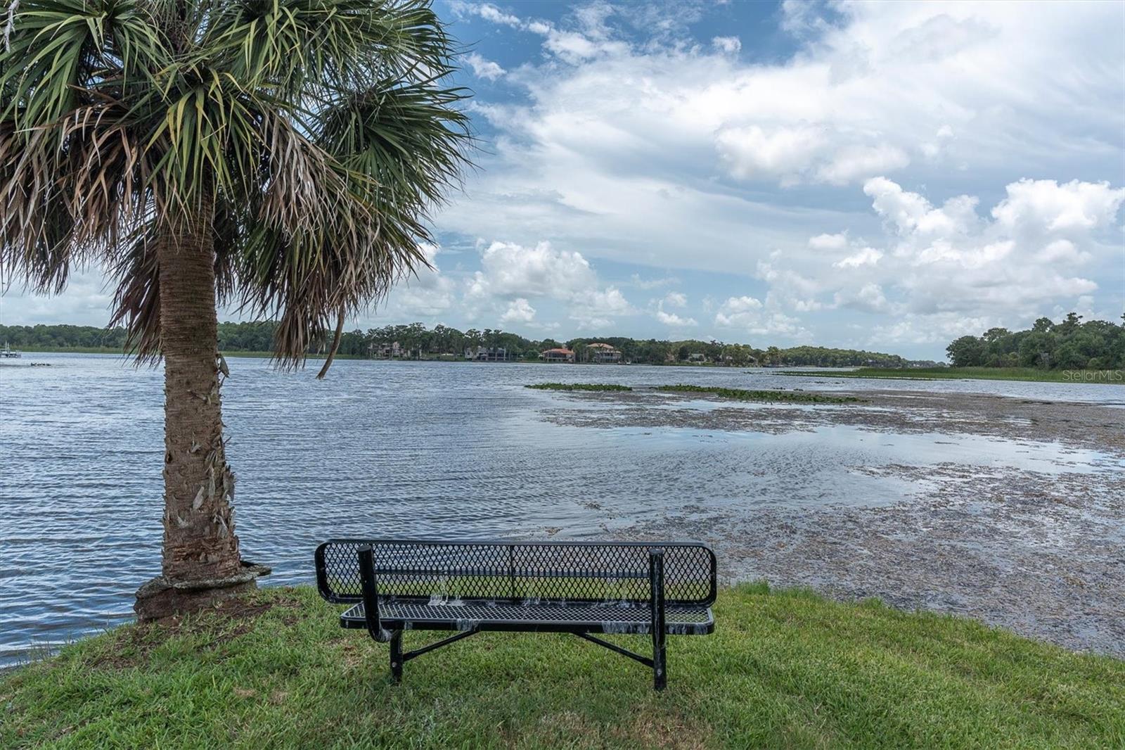 EAGLES COVE AT LAKE TARPON - Residential