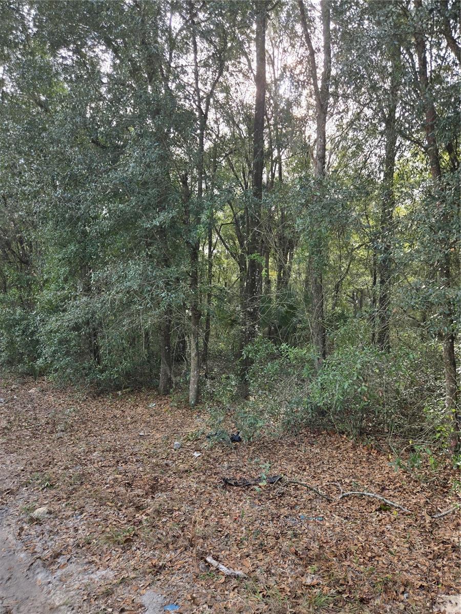 Build your future in peaceful Citra! This 0.25-acre R4-zoned lot allows for a manufactured or site-built home and offers a quiet rural setting with easy access to Ocala, Silver Springs, and major highways. Enjoy the freedom of open space, fresh air, and a laid-back lifestyle while still being close to shopping, dining, and outdoor recreation. No HOA and no city congestion — just simple Florida living at its best. Buyer to verify all building and utility requirements.