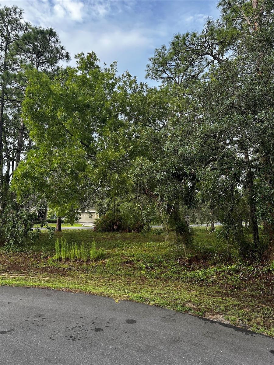 SOUTHERN WOODS AT SUGARMILL WOODS - Land
