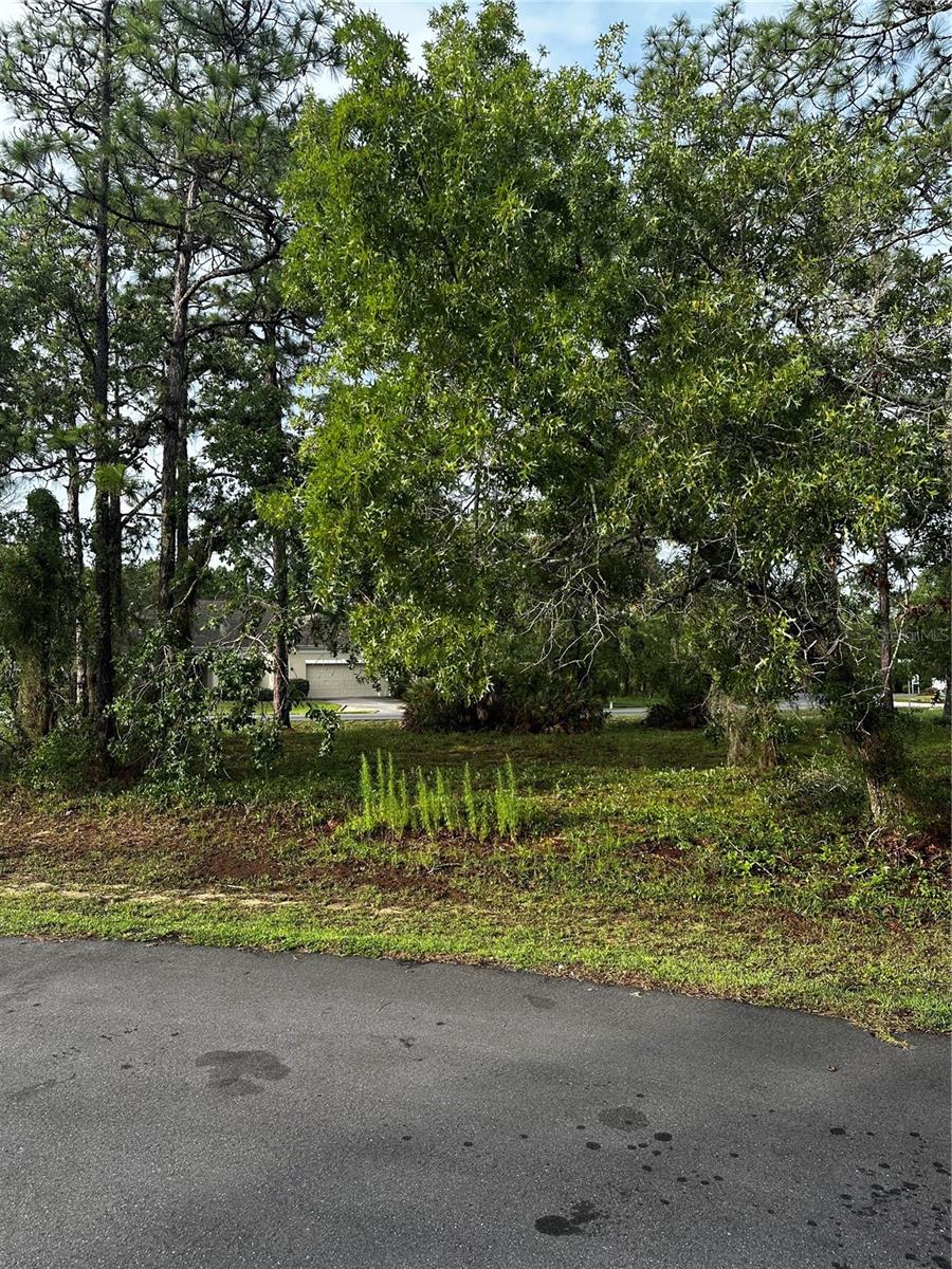 SOUTHERN WOODS AT SUGARMILL WOODS - Land