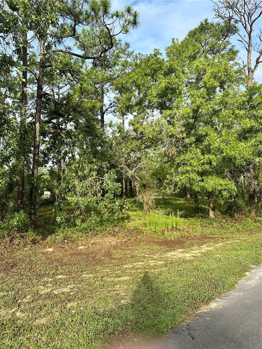 Build the Florida lifestyle you’ve been dreaming about on this highly sought after .36 acre corner lot located on a quiet cul de sac in the prestigious Sugar Mill Woods – Southern Woods community. Surrounded by beautiful homes and mature natural landscaping, this oversized homesite offers the perfect combination of privacy, space, and peaceful living. Golf enthusiasts will love being part of one of the area’s premier golf course communities, while outdoor lovers are just minutes from the crystal clear waters of Homosassa Springs, offering world class boating, fishing, kayaking, paddleboarding, and waterfront dining. Whether you are ready to build your forever home, seasonal retreat, or investment property, this prime location delivers the ideal blend of luxury, recreation, and Old Florida charm. Opportunities like this in Southern Woods are becoming harder to find. Secure your piece of paradise today!