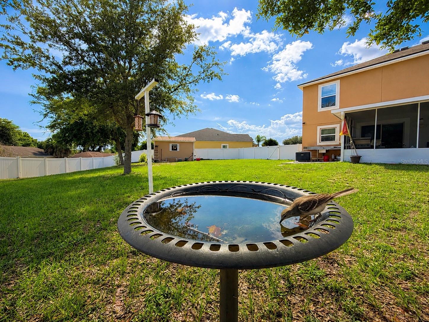 MASCOTTE LAKE JACKSON RIDGE PH 01 - Residential