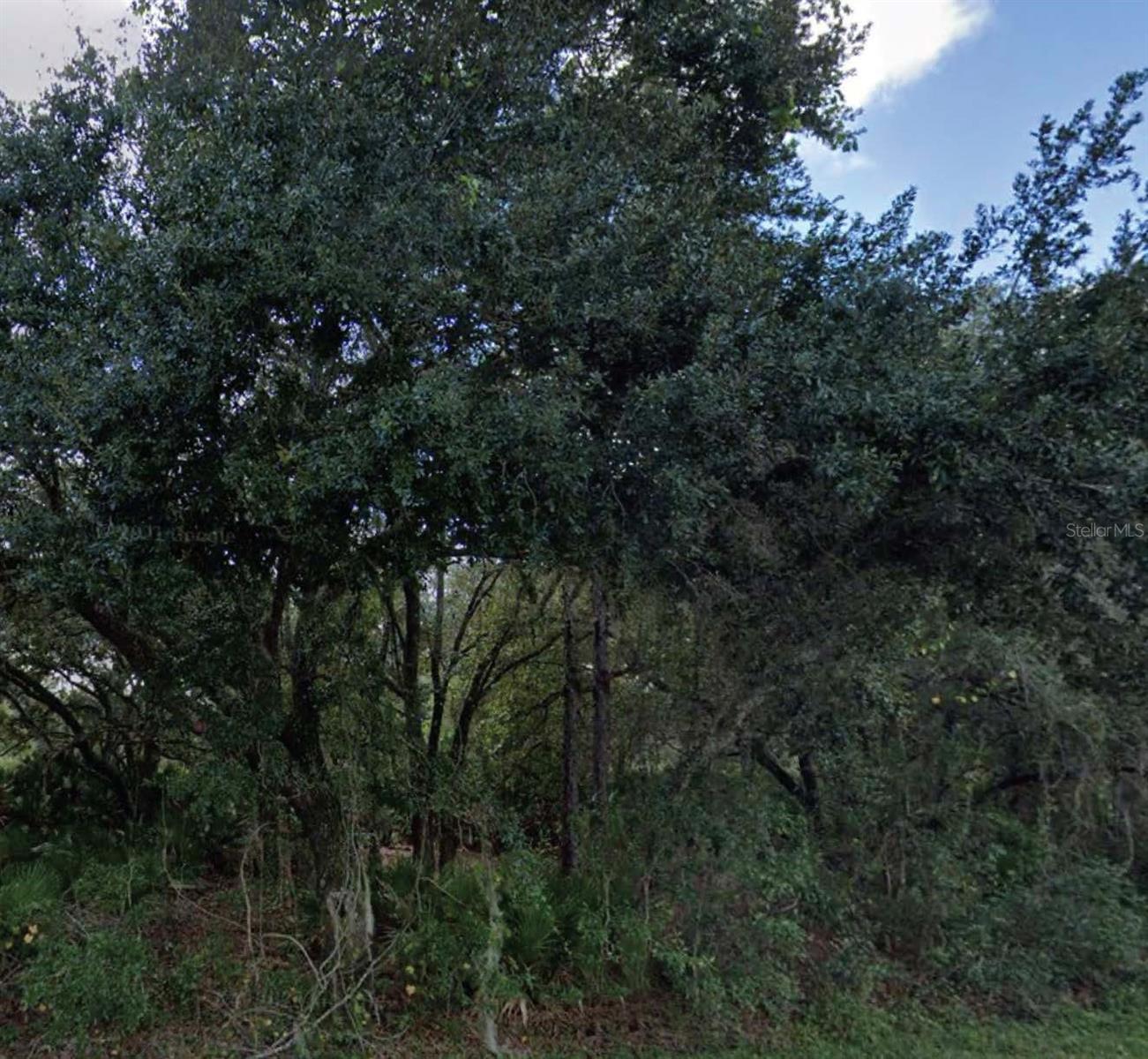 INDIAN LAKE ESTATES - Land
