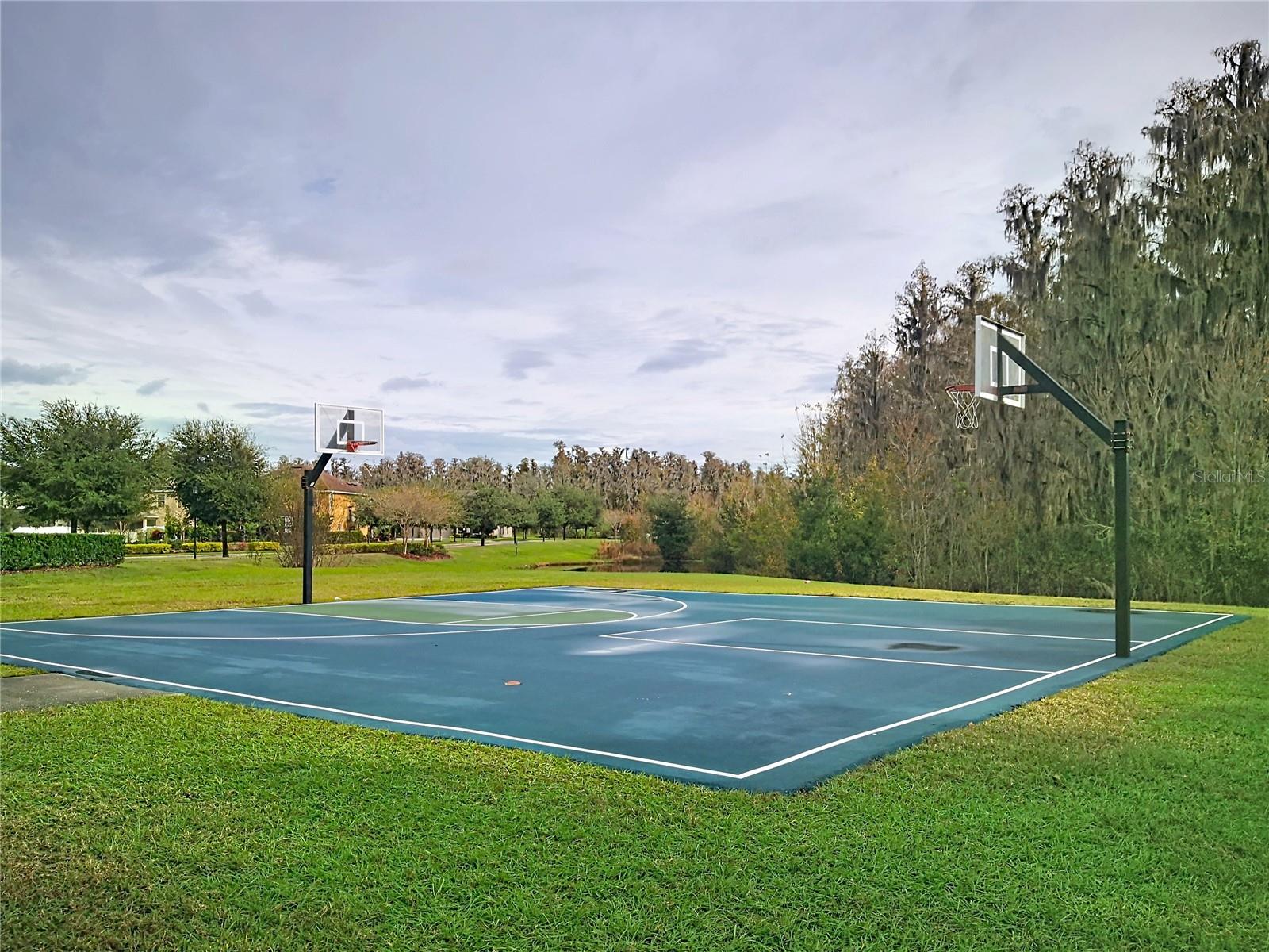 BASSET CREEK ESTATES PH 2D - Residential