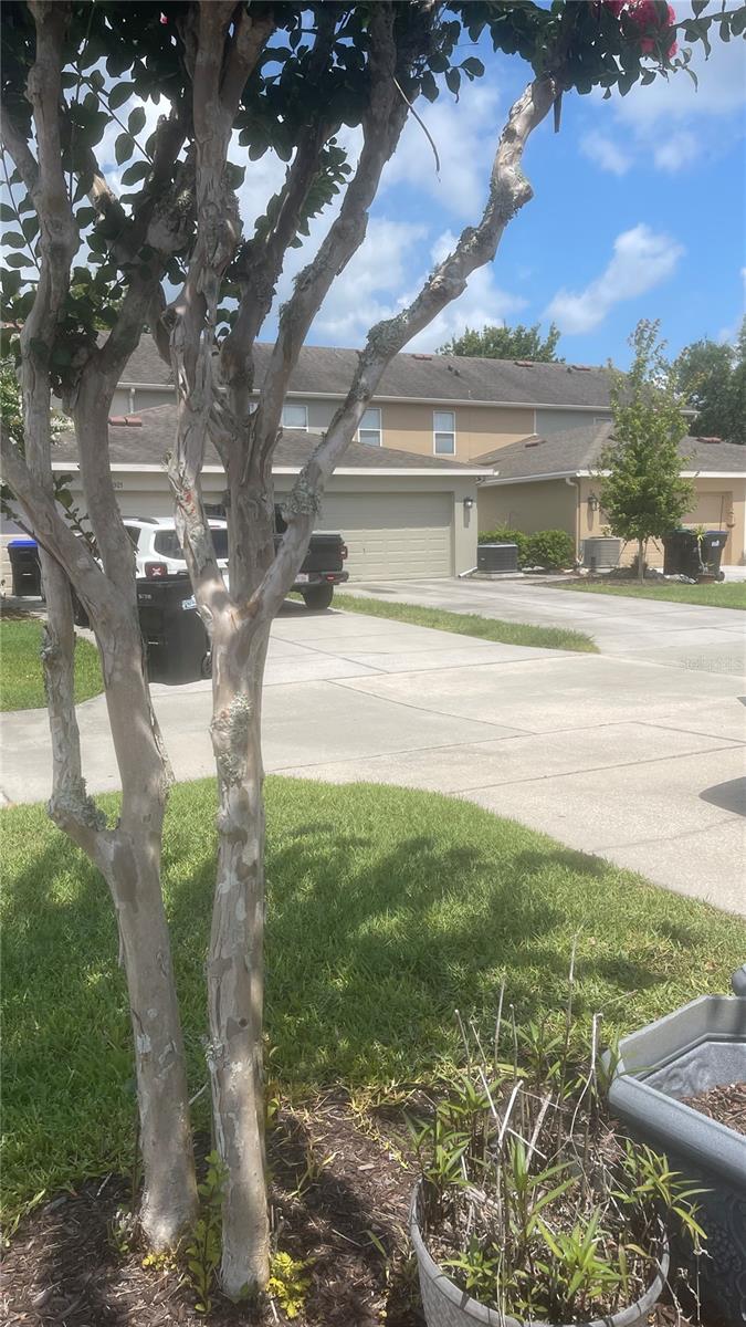 AVALON PARK VILLAGE 04A & 04B - Residential Lease