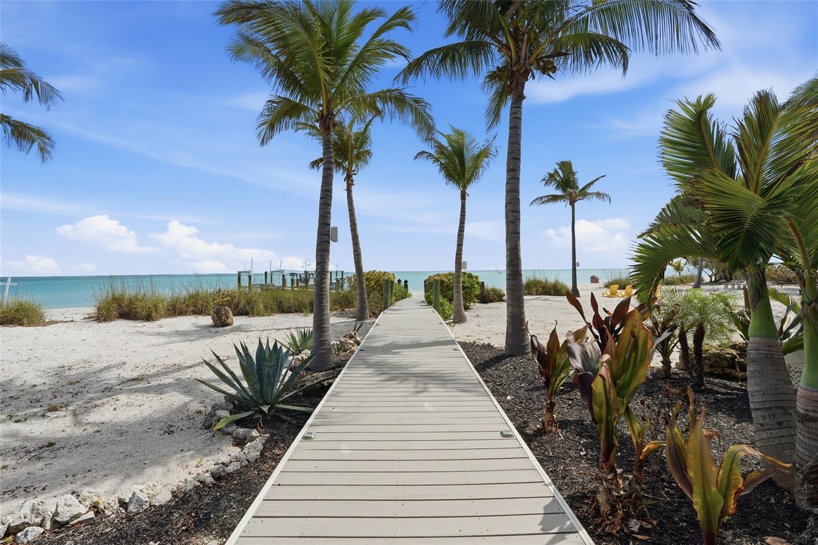 PUNTA ROBALO - Residential