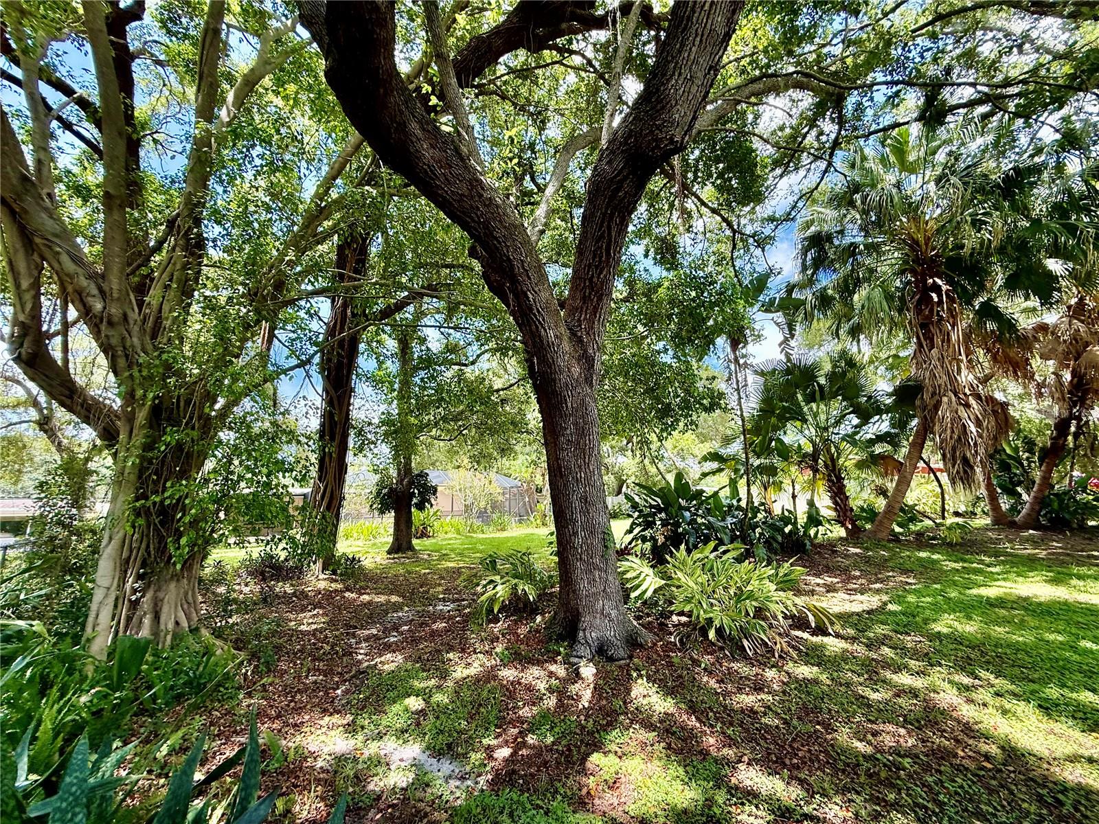 BAY BREEZE ESTATES - Residential