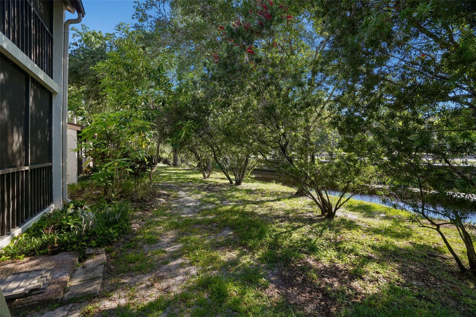 TARPON WOODS CONDO 3 - Residential