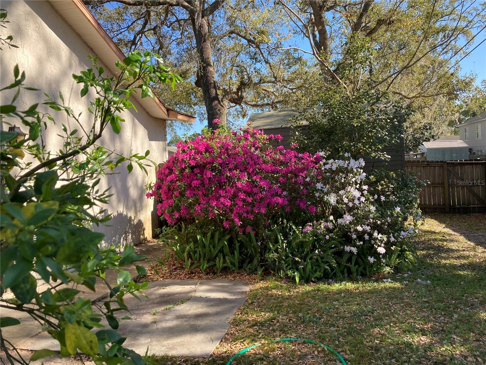 FLORIDA SHORES 01 - Residential