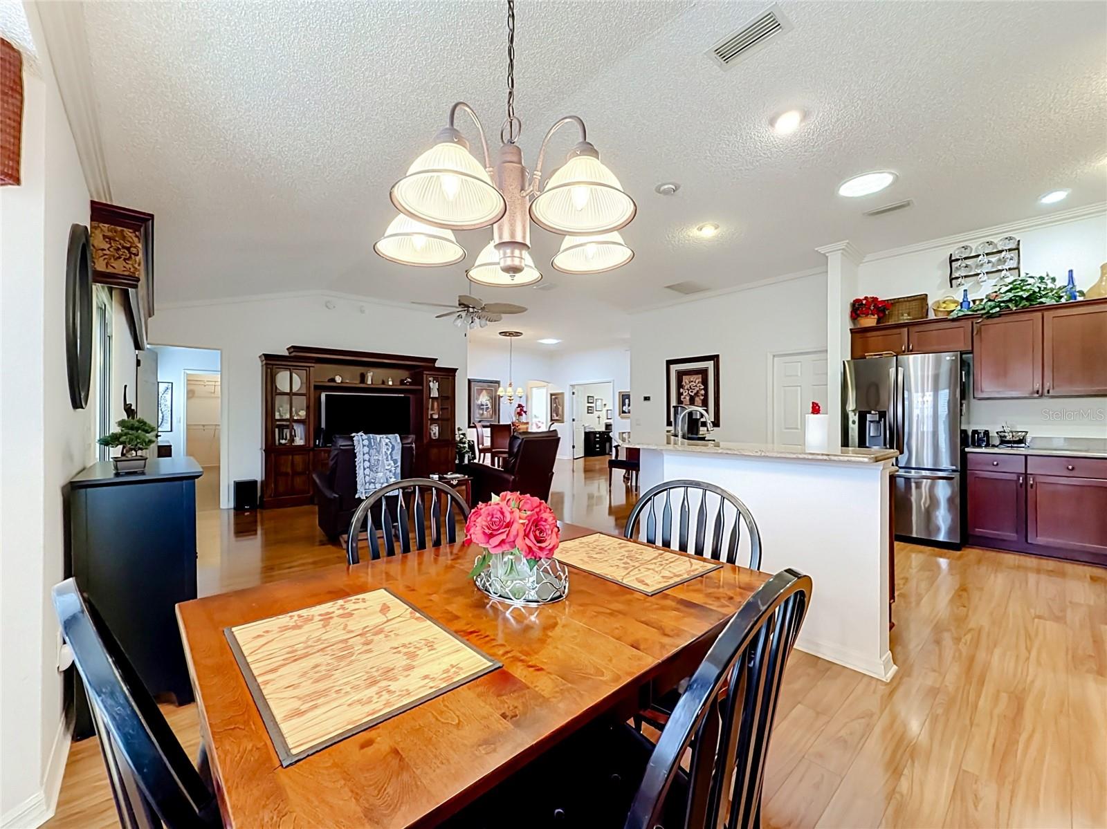 VILLAGES OF SUMTER - Residential