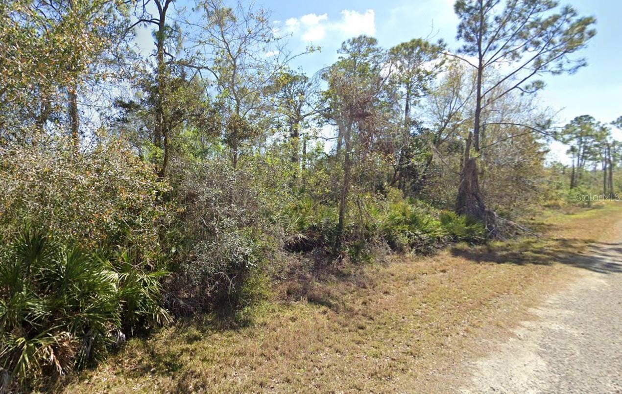Discover the possibilities with this 1.38-acre vacant parcel at 810 Pacific St. — NO HOA! Nestled among peaceful surroundings and just minutes from the natural beauty of Highlands Hammock State Park, this property is a dream for outdoor enthusiasts and nature lovers alike. Enjoy nearby parks, scenic trails, and the serenity of Old Florida living while still being conveniently close to shopping, healthcare, and the stunning Lake June.

Whether you’re looking to build your dream home or secure a savvy land investment, this expansive lot offers the perfect blend of privacy, recreation, and accessibility. Opportunities like this don’t come often—don’t miss your chance to own a slice of Florida paradise.