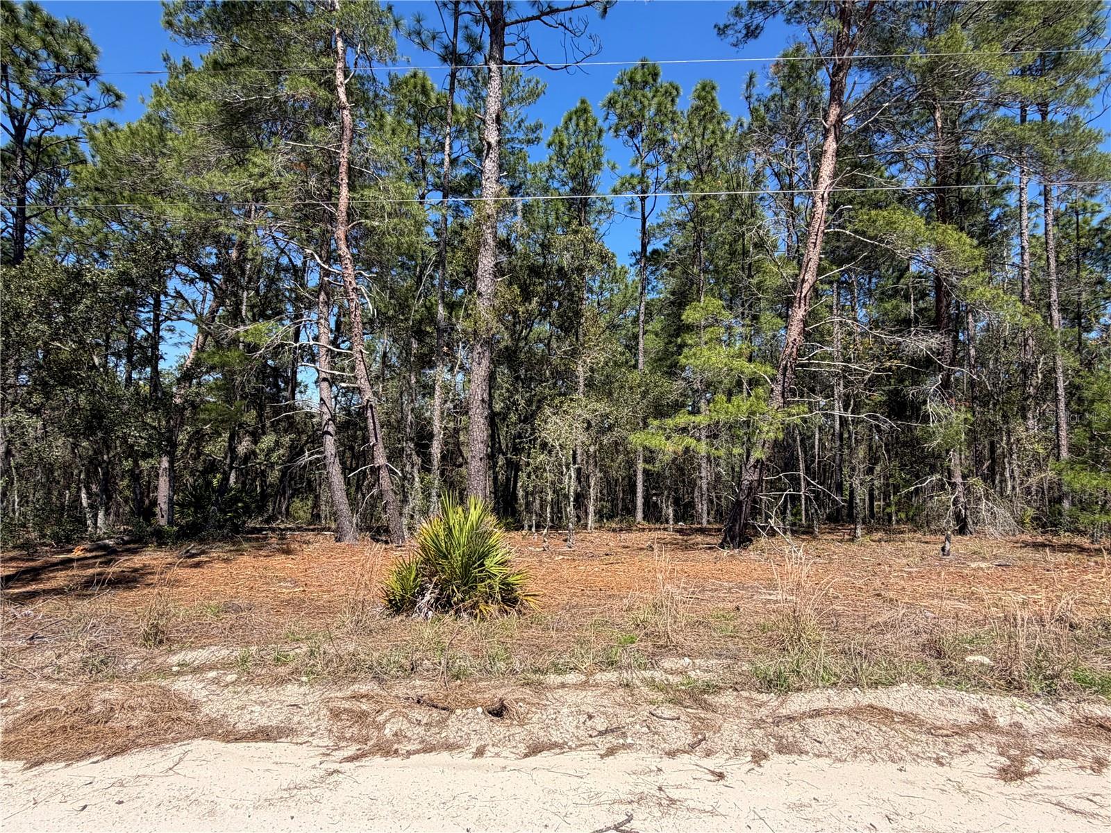 WHISPERING PINE UNIT 2 - Land