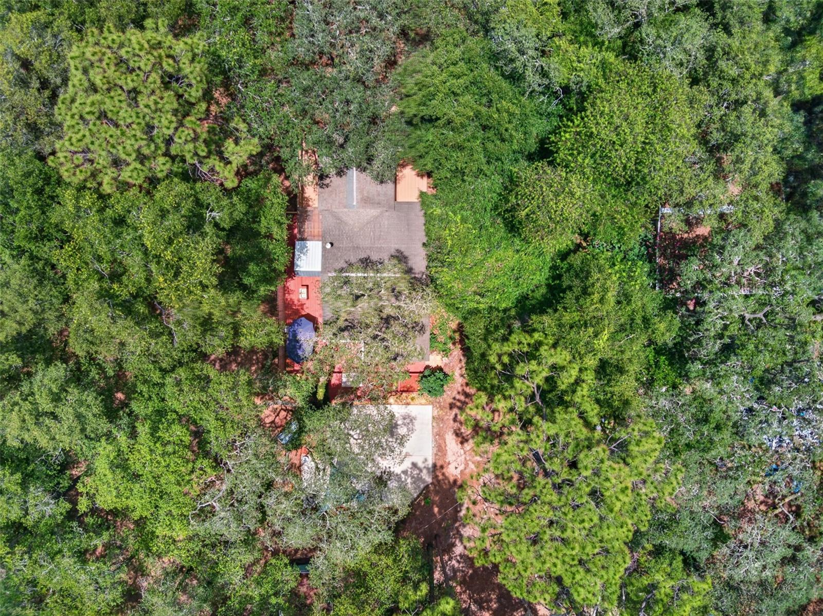 BEDFORD OAKS - Residential