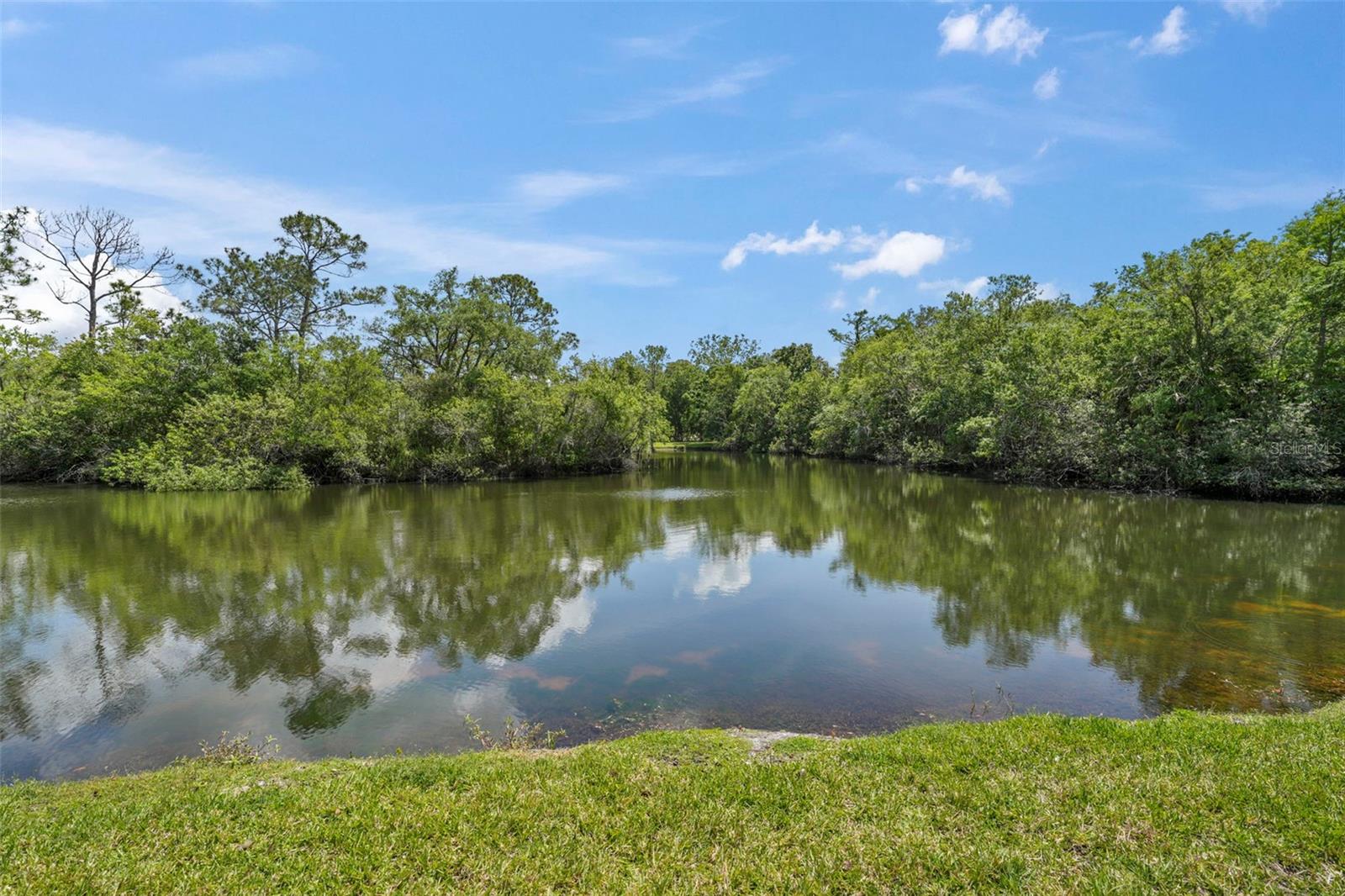 TARPON WOODS CONDO 3 - Residential Lease