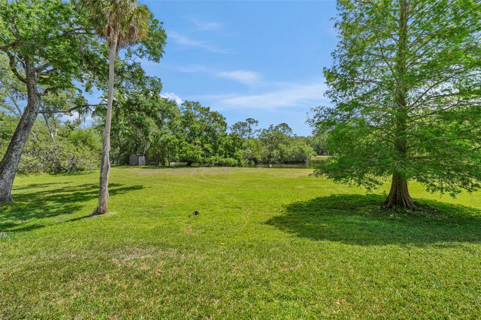 TARPON WOODS CONDO 3 - Residential Lease