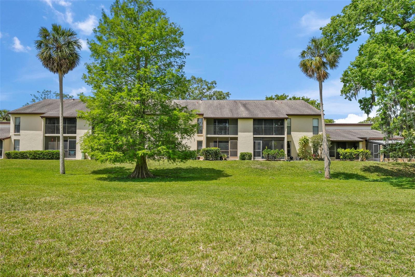 TARPON WOODS CONDO 3 - Residential Lease