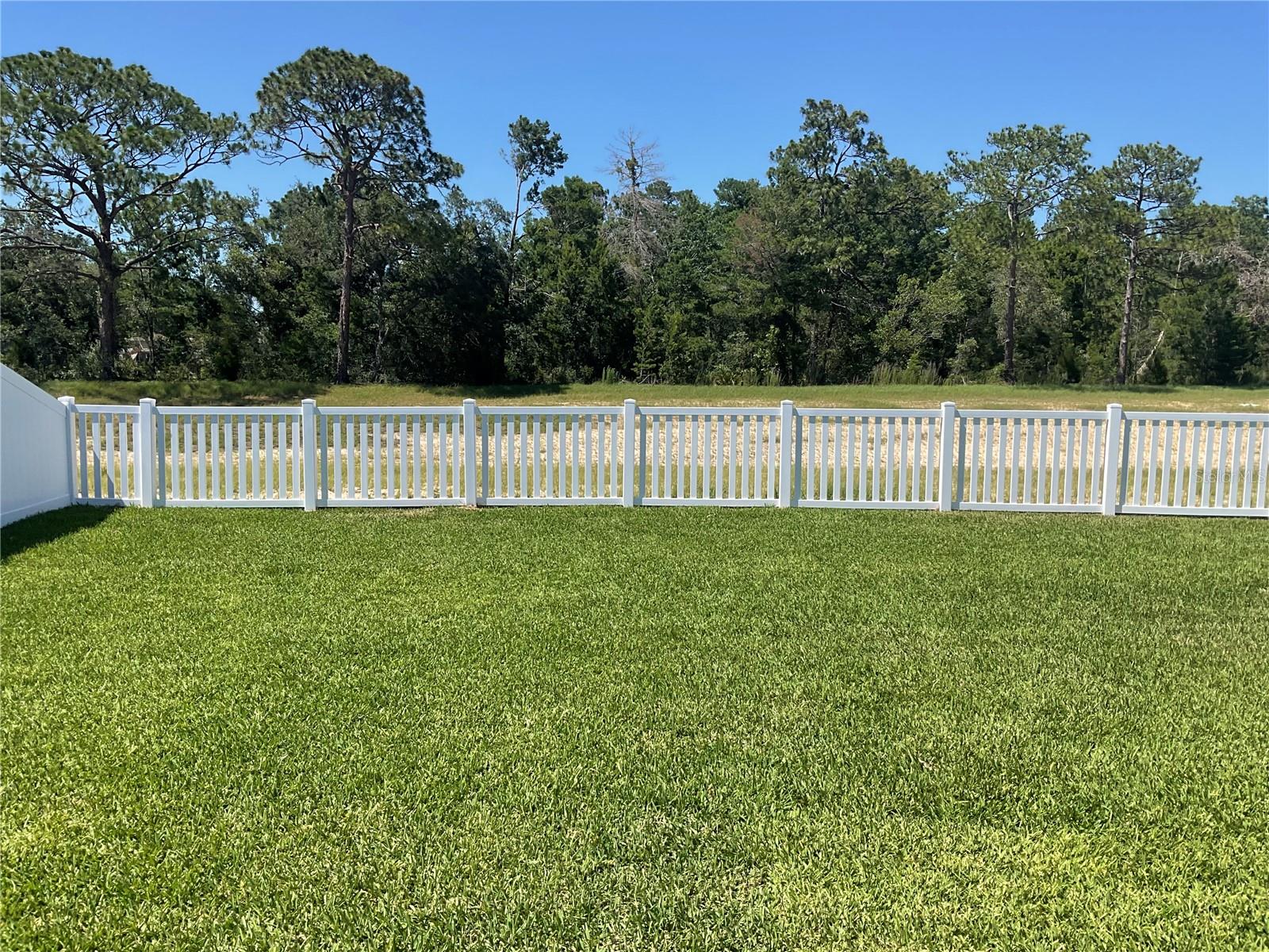 CALDERA PH 5 - Residential Lease