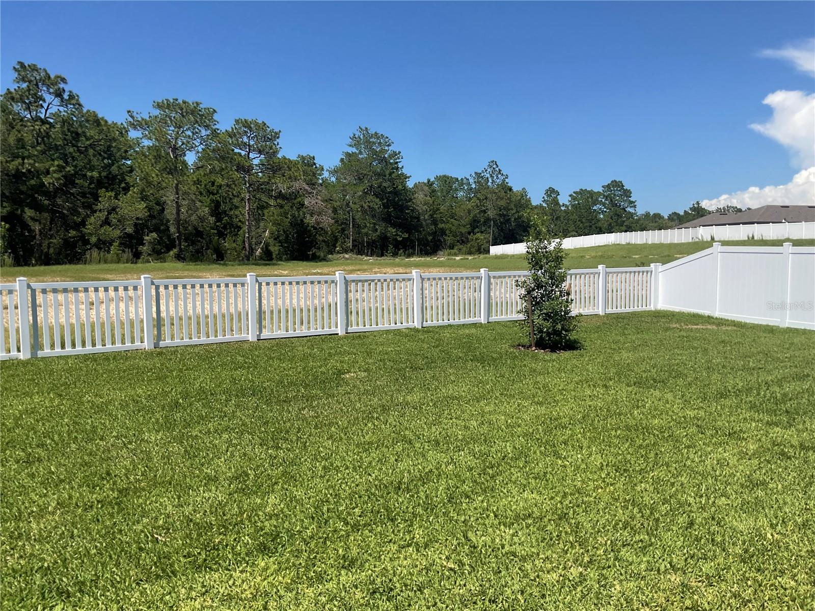 CALDERA PH 5 - Residential Lease