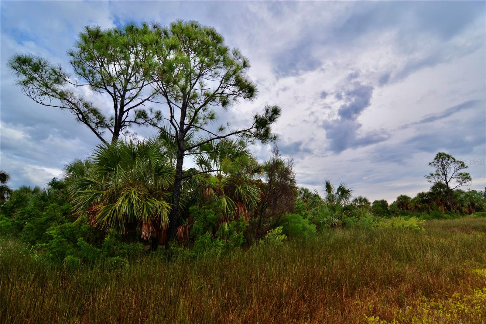 ISLE/PALMS - Land