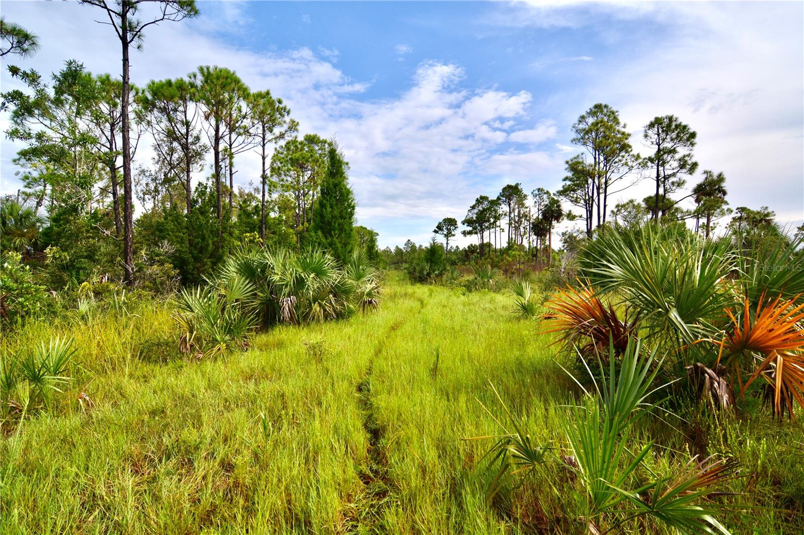 ISLE/PALMS - Land