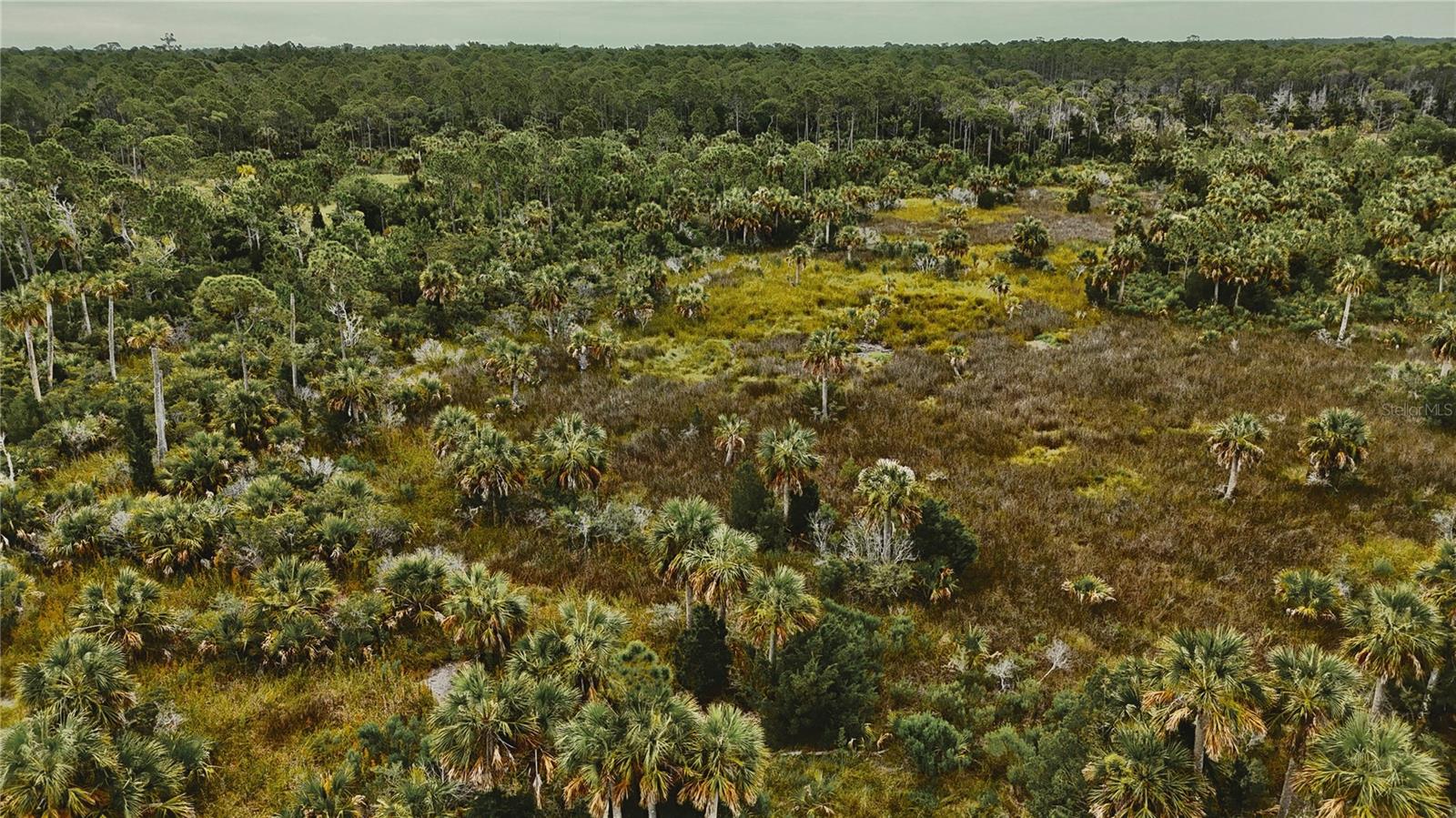 ISLE/PALMS - Land