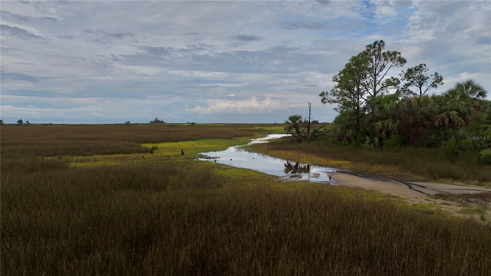 ISLE/PALMS - Land