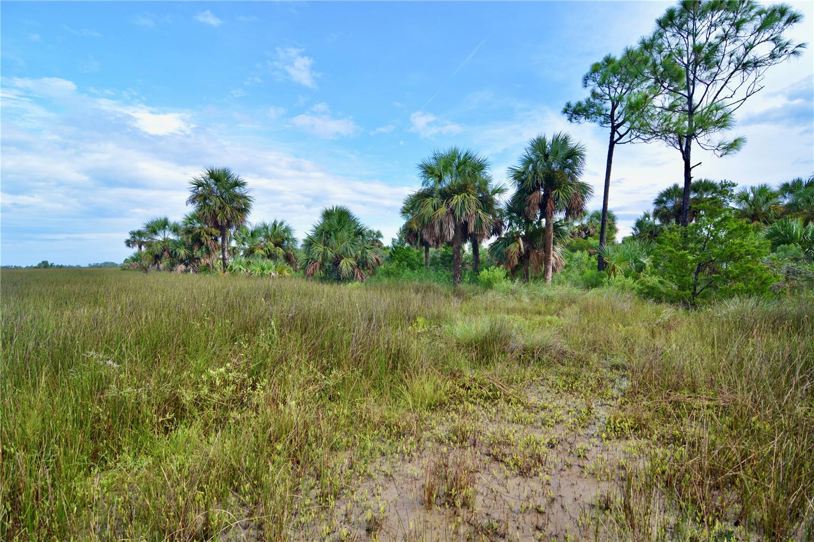 ISLE/PALMS - Land