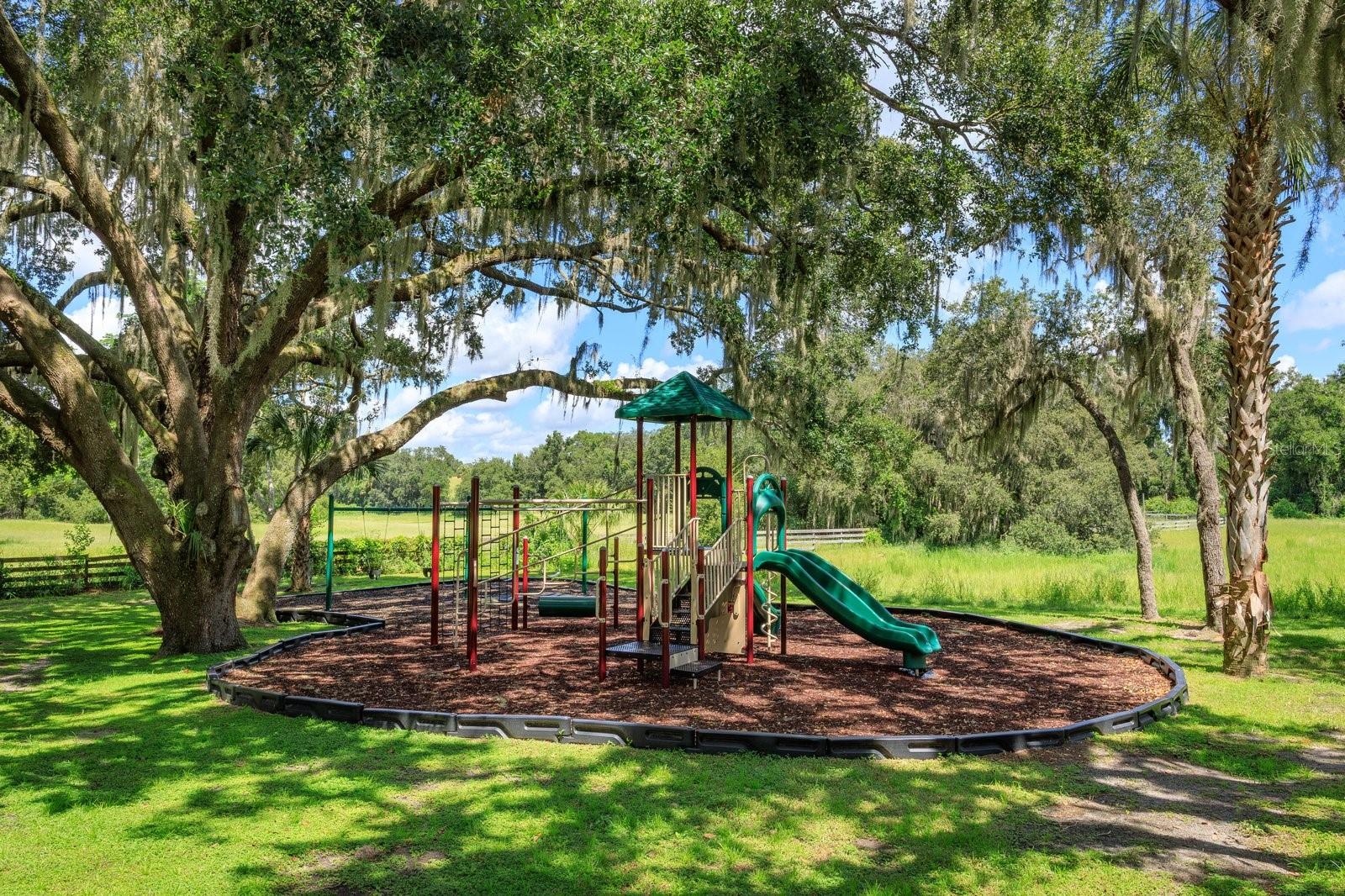 VILLAGE AT BLACK BEAR UNIT 02 LT 94 PB 51 - Residential