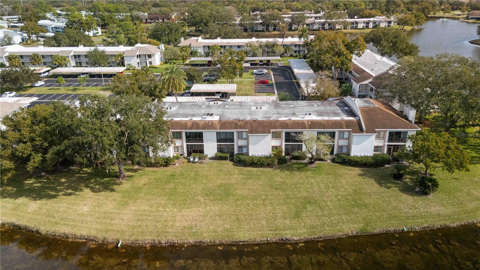 EAST LAKE WOODLANDS CONDO - Residential
