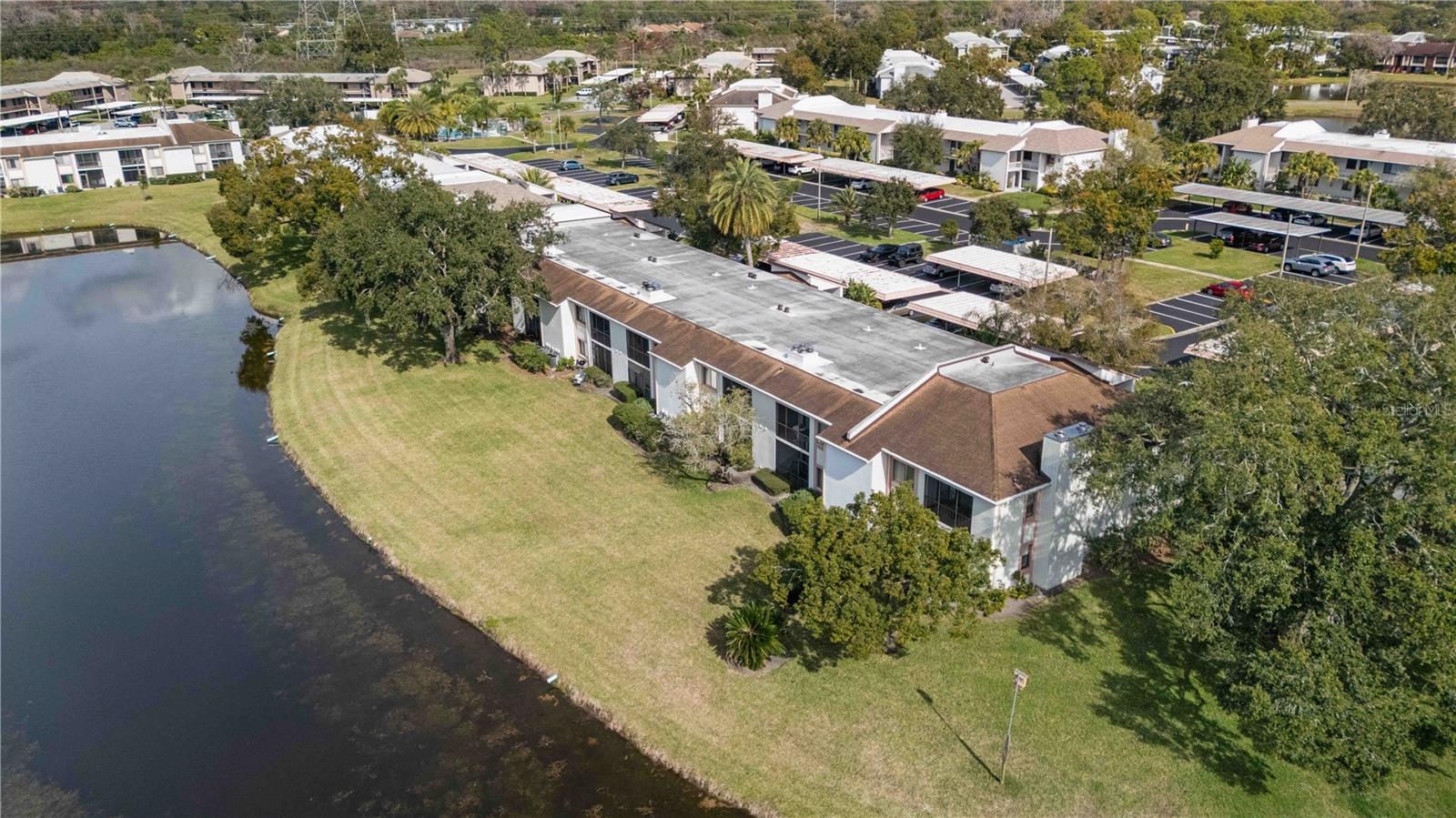 EAST LAKE WOODLANDS CONDO - Residential