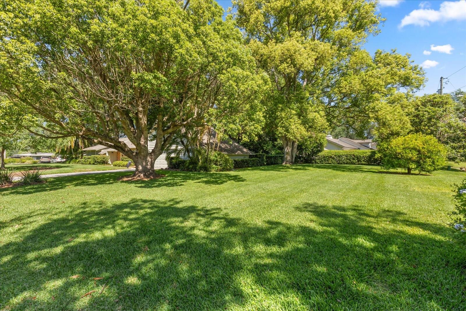 DRUID HILLS ESTS - Residential